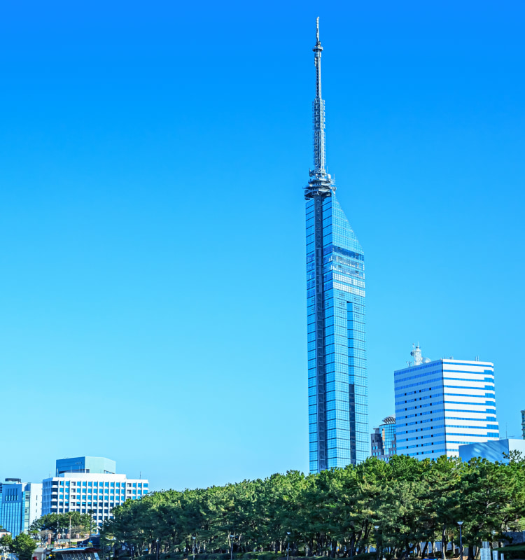 福岡を拠点にWEBマーケティングに特化した広告代理店・アプリケーション開発運営・飲食店経営を展開